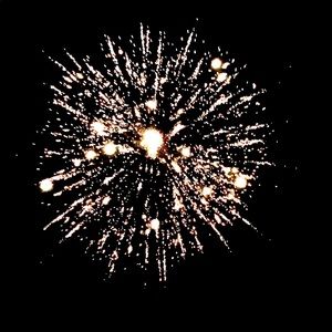 Meet your Posher, Bridget